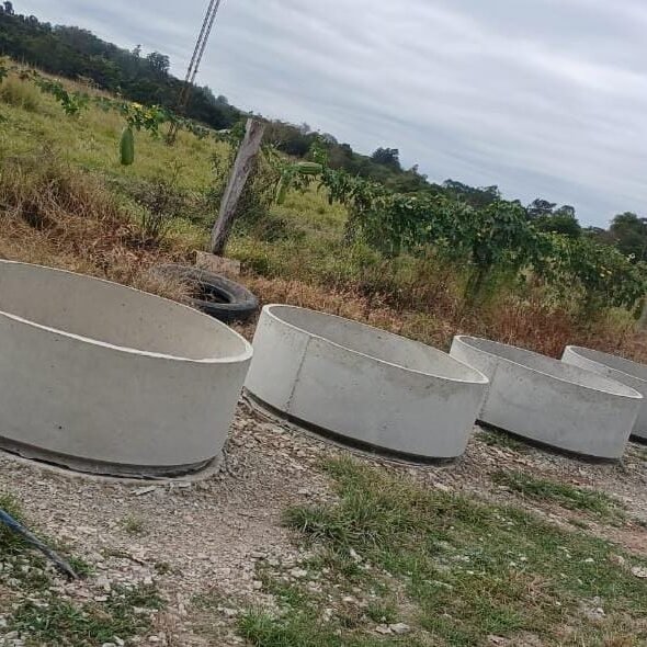 WhatsApp Image 2024-08-06 at 08.36.32 (1)