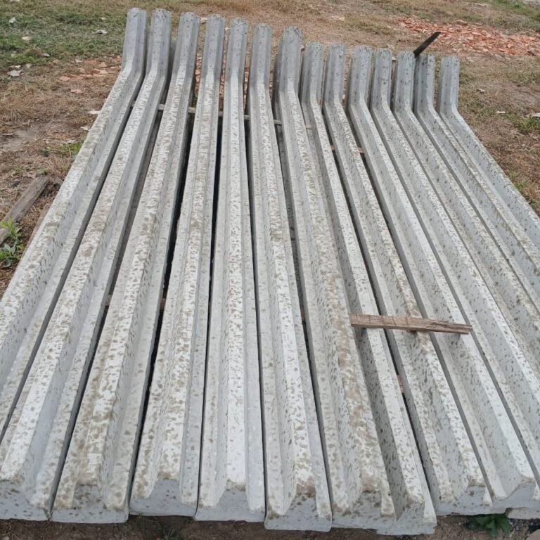 WhatsApp Image 2024-08-06 at 08.36.32